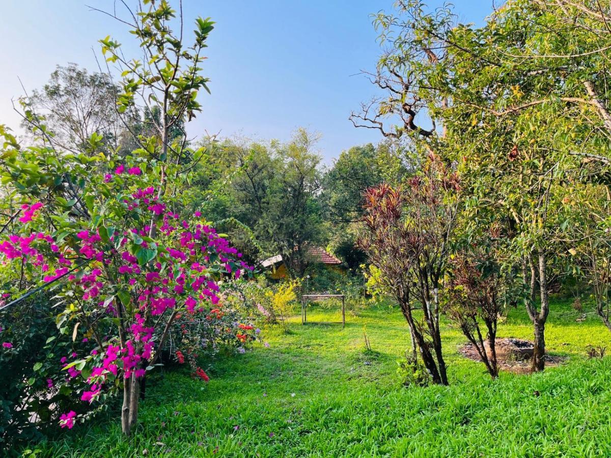 Coorg Daffodil Guesthouse Madikeri Eksteriør billede